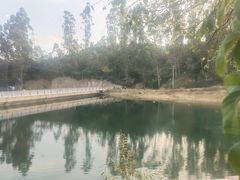 -三碗水湖生态园