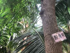 -北戴河集发农业梦想王国