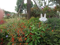 -空港花田景区