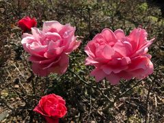 -漩门湾国家湿地公园