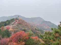 -十三陵水库