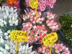 -循礼门鲜花花市(武汉循礼门店)