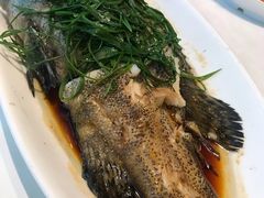 -梧桐餐厅(泉城路店)