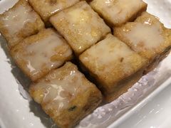 -南枝记