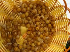 -乡土特色.冷锅鱼.牦牛肉汤锅