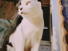 -三点小吃(山大店)