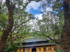 -普陀山风景名胜区-法雨禅寺