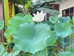 -聚福宝合苑食府(南头镇店)