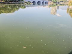 -飞来湖湿地公园