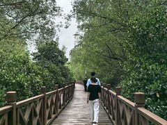 -大亚湾红树林城市湿地公园