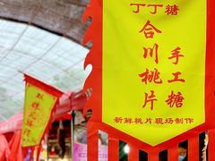 -秀丽东方