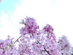 -长春观