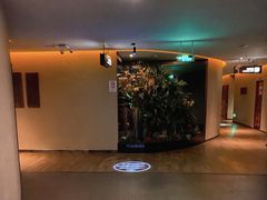 -东方棕泉·洗浴·按摩·美食国际水疗会所(福田店)