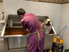 -宠爱国际动物医院· 猫科· 外科·中兽医(长白店)