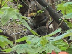 -终南山南五台景区