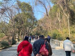 -灵岩山风景区