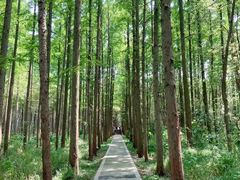 -同里国家湿地公园