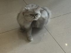 -Oh My Dog宠物沙龙(伊珊娜皮毛护理店)