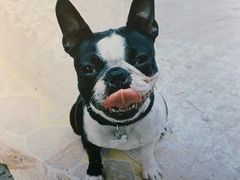 -Wagas沃歌斯(北京君太百货店)