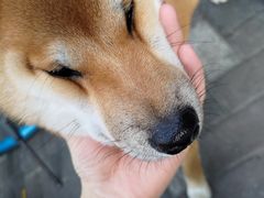 -萨莉亚意式餐厅(国和1000店)