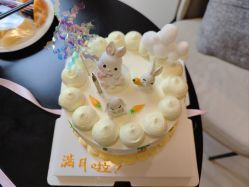 -明宇集团·积木枝芽母婴健康管理中心(天府店)