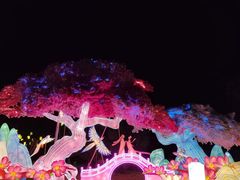 -祥源·阜阳生态乐园