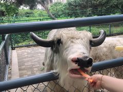 -长白岛森林公园