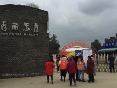 -秀丽东方
