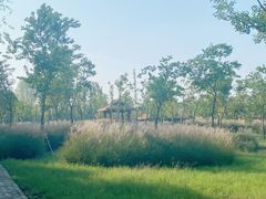 -溱湖国家湿地公园