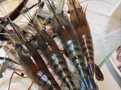 鲜活罗氏虾-Thai Basil罗勒叶泰式餐厅(时代天街店)