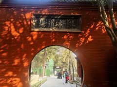 -洛阳白马寺