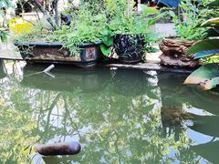 -御霞苑泥烩鸡休闲农庄