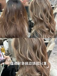 点击看大图 -KS COLOUR漂色·染发·画染
