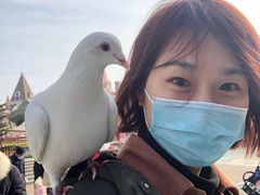 -烟台海昌鲸鲨海洋公园