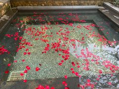 -厦门日月谷温泉渡假村