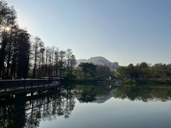 -四海公园(南山区)
