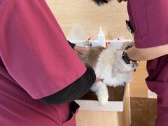 -美联众合动物医院·24h京西诊疗中心