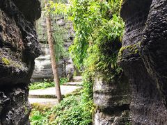 -梭布垭石林景区