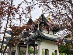 -江心屿景区