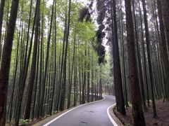 -山王坪喀斯特国家生态公园