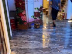 -船泊丽港(统一路店)