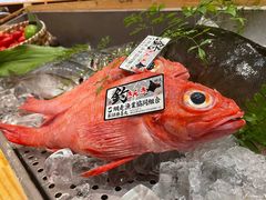 -希望日本料理(保利香槟花园店)