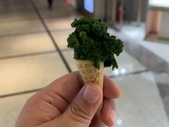 -鹤茶野所(上海首店)
