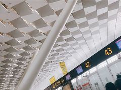 -郑州新郑国际机场-T2航站楼