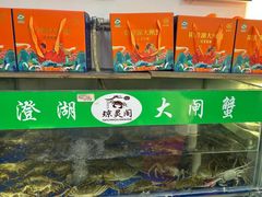 -阳澄湖大闸蟹·琼灵阁牌品牌连锁(吴中总店)