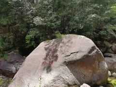 -黄山翡翠谷景区