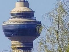 -莲花池公园