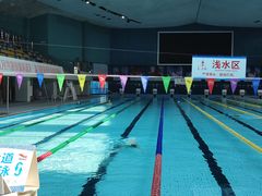 -重庆市奥林匹克体育中心-游泳跳水馆