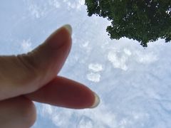 -漕湖湿地公园
