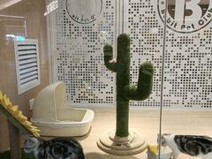 -BABIT巴比特宠物(MOMOPARK店)